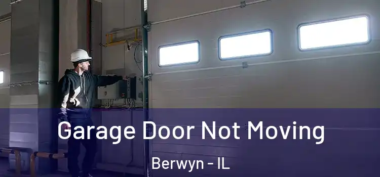  Garage Door Not Moving Berwyn - IL