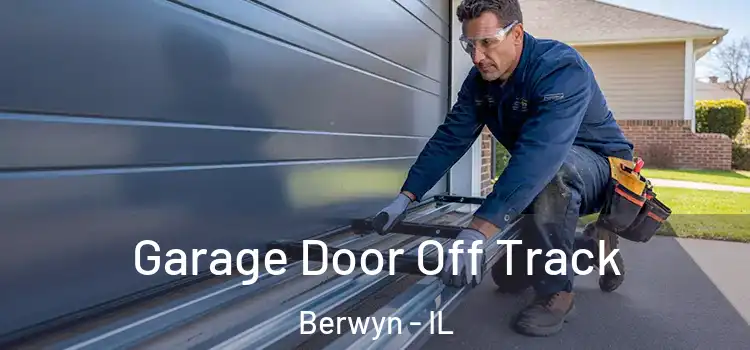  Garage Door Off Track Berwyn - IL