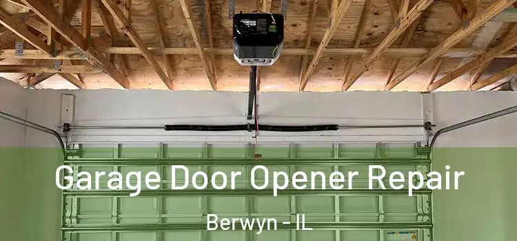  Garage Door Opener Repair Berwyn - IL