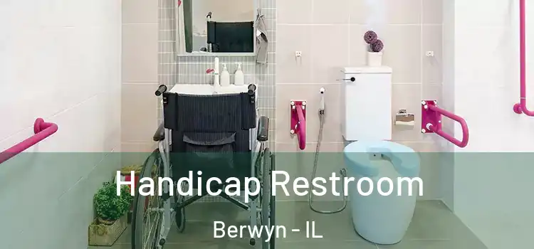 Handicap Restroom Berwyn - IL
