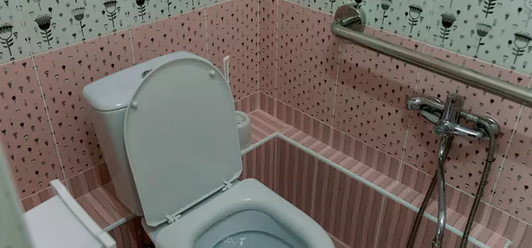 Meeting Diverse Needs With Accessible Restroom Solutions in Berwyn, IL